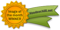 IOTM Winner!