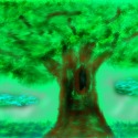 The Tree by S A