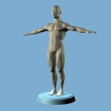 Male Anatomy by Shekhar Doshi