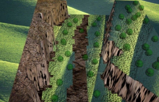 Forest Path - 