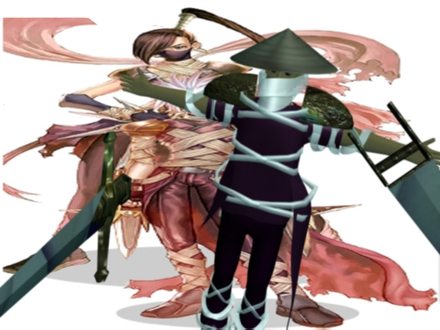 The Assassin - 