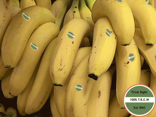 Think Right Eat Well - 