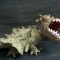 dragon roar