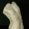 Male Torso