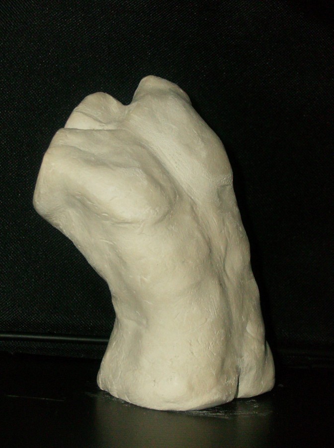 Male Torso - 