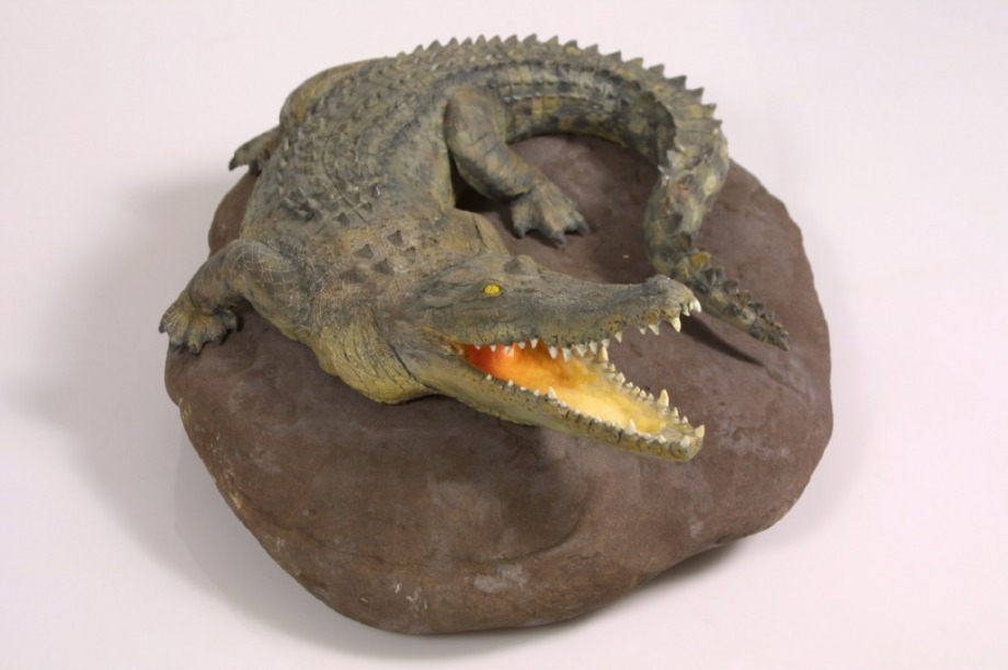 Whipper Snapper - 