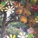 Kiwi Tree by A Arden
