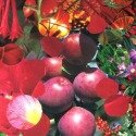 Purple Apples by A Arden