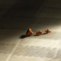 Provoked death by Luis Torres Rubio