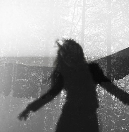 Swandance for a raven by Kevin Mallia