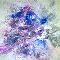 Enigma IV