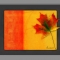 Fall