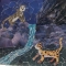 Cats in the Wild