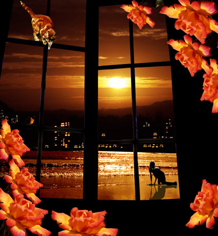 Window 2 - 