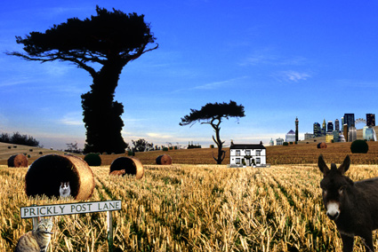 Trees - 