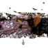 Baroque - 