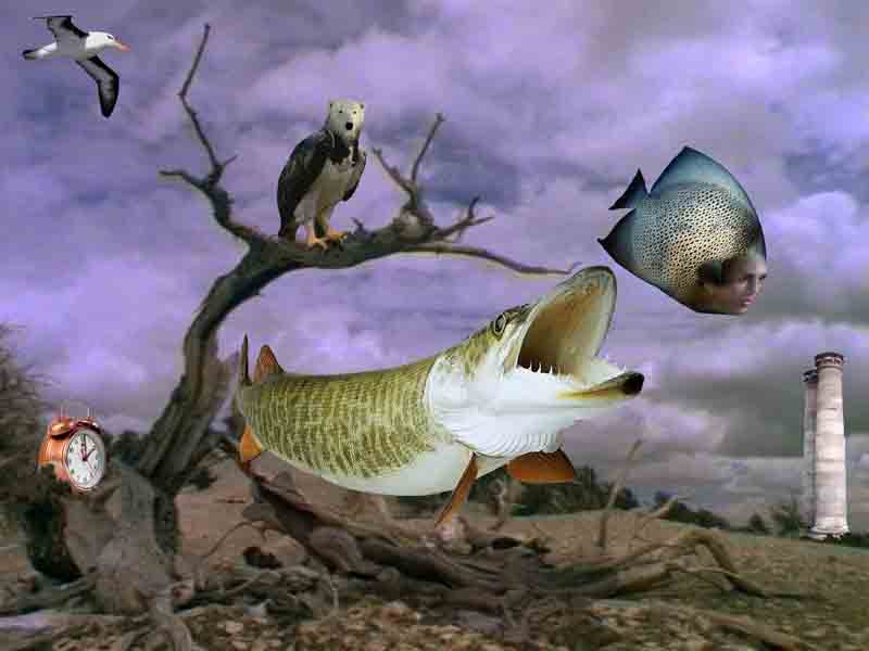 The Eternal Chase - 