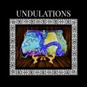 UNDULATIONS by Linda Bernal Hasenkamp Lindo Specialties