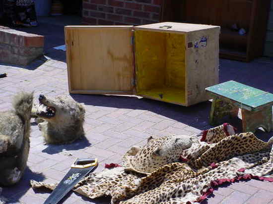 Taxidermikal Butchery - 2006 - 