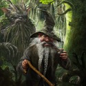 Deep forrest by Jasper Schreurs