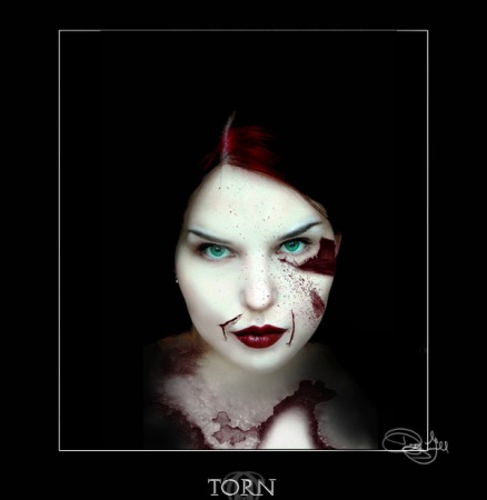 Torn by Dazy Gemmell