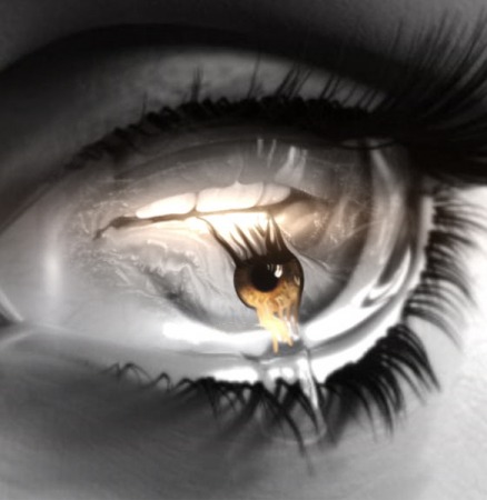see and feel by Maria Datzreiter