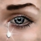 I Can See Forever