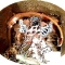 ANGEL IN FRONT OF THE EMPTY TOMB