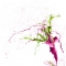 spraying mantis