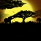 Spirit of Africa