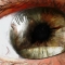 LE VOYEURISME