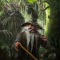 Deep forrest