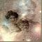 STAR GIRLS