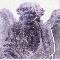 ANGEL NEGATIVE