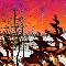 Burnt Forest