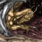 white dragon