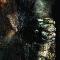 peryer