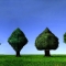 Trees