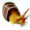 Caramel Snail