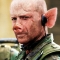bruce piggis