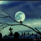 Sweet Darkness