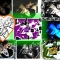 my sis, warhol style