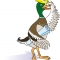 Construction Duck