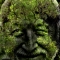 Green Man.