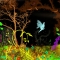 faerie glen