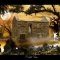 the abandoned cottage