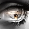 see and feel