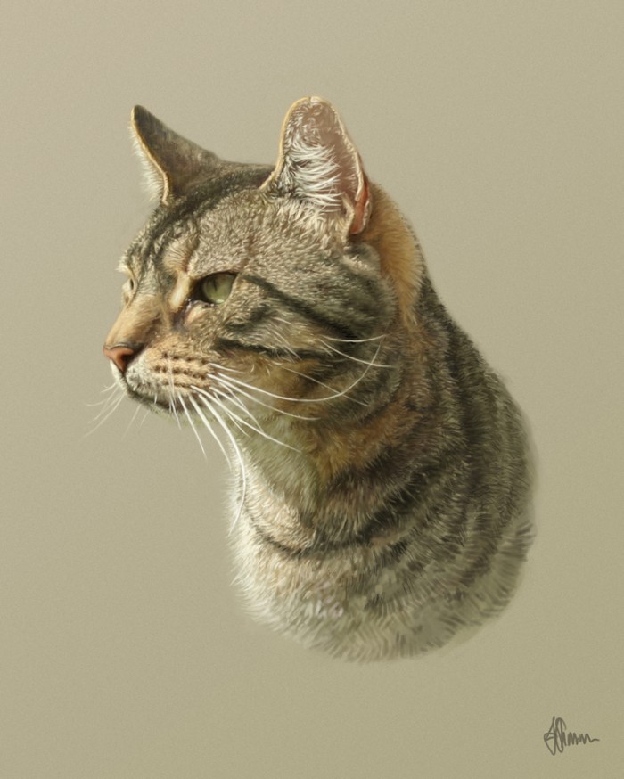 Caleb - 