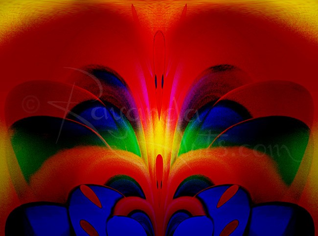 DK Flower - 