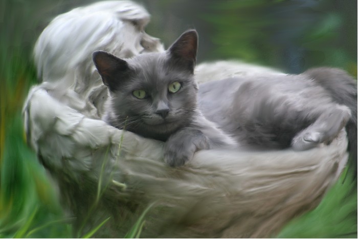 Lounger - 